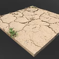 Dry Cracked Earth Surface With Visible Deep Cracks And Small Green Plants