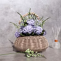 Wicker Basket Vase With Purple Hydrangea Flowers And Aromatic Diffuser On Gray Concrete Background