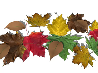 Colorful Maple Leaves Garden Decor With Red Yellow Green Brown Tones Arranged In A Row 3d model