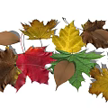 Colorful Maple Leaves Garden Decor With Red Yellow Green Brown Tones Arranged In A Row