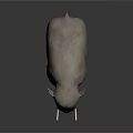 Gray Elephant With White Tusks Standing On Black Background As