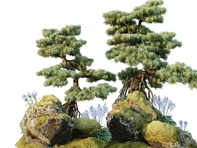 Two Bonsai Trees With Exposed Roots Rocky Base And Purple Flowers 3d model