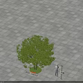Lush Arbor Planted On Square Tiled Ground With Circular Green Area 3d model