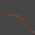 Brown Patterned Snake With Slithering Curved Body Against Dark Background