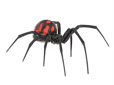 Unique Reptile With Black Body Red Spots And Long Legs Appearance 3d model