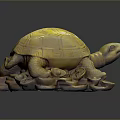 Turtle Cartoon Turtle Snapping Turtle Chickbill Turtle Reptile Cold Blooded Animal Reptile Class 3d model