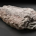Natural Raw Wood Stone Piece With Rough Surface And Organic Texture
