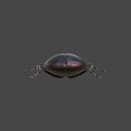 Black Stag Beetle With Large Mandibles On Blue Background Close Up View