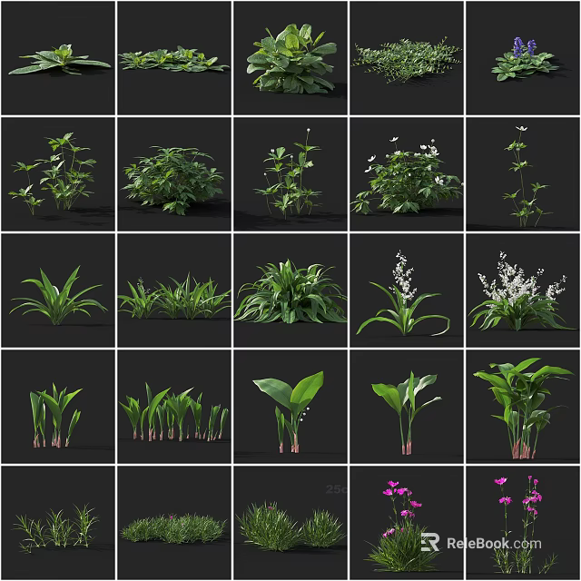 Diverse Collection Of Flowers And Foliage Plants Perfect For Home Decor And Outdoor Gardens 3d model 