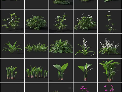 Diverse Collection Of Flowers And Foliage Plants Perfect For Home Decor And Outdoor Gardens 3d model