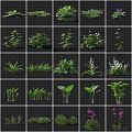 Diverse Collection Of Flowers And Foliage Plants Perfect For Home Decor And Outdoor Gardens