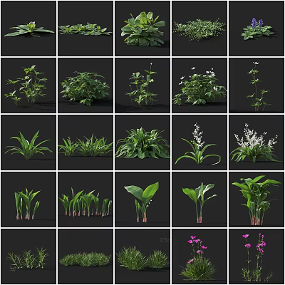 Diverse Collection Of Flowers And Foliage Plants Perfect For Home Decor And Outdoor Gardens 3d model