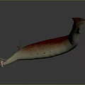 Reddish Brown and Off White Marine Aquatic Animal With Long Proboscis and Streamlined Body