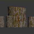 Rustic Wooden Stumps with Natural Bark Texture for Home Decor Accents