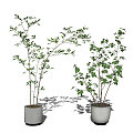 Modern potted plant potted combination 3d model