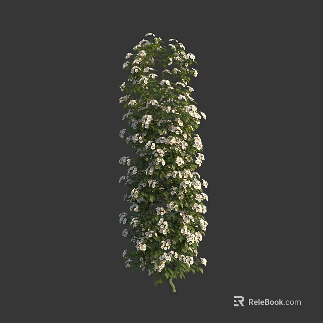 Lush Vertical Growing Plant With Green Leaves And Plentiful White Flowers For Garden 3d model 