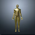 Man Golden 3D Anatomical Model With Front And Back Views And Markers