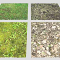 Diverse Natural Ground Scenes With Green Grass Moss And Fallen Leaves