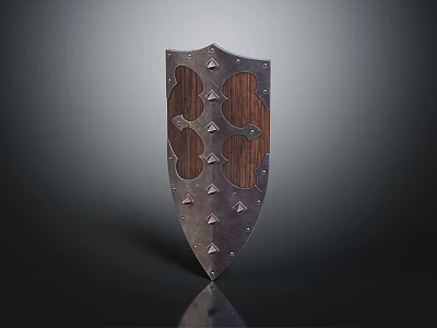 Medieval Metal Shield With Spikes Wooden Panels And Riveted Edges Design 3d model