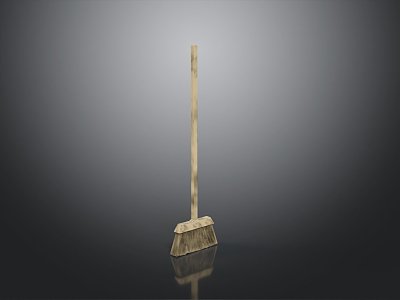 Modern broom model