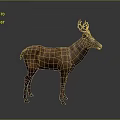 Detailed Realistic Brown Deer Standing With Antlers In 3D Render Studio Background