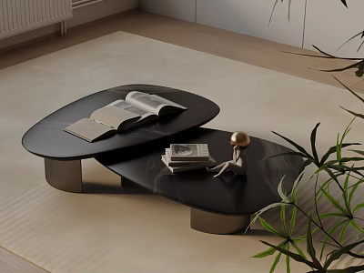 Modern Sofa Coffee Table Set With Black Irregular Design And Decorative Books Figurine Plants 3d model