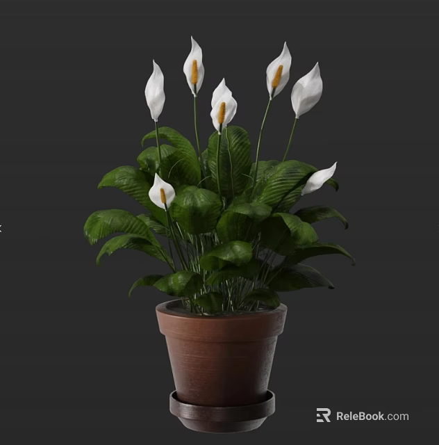 Potted Plant With White Flowers And Lush Green Leaves In Brown Terracotta Pot 3d model 