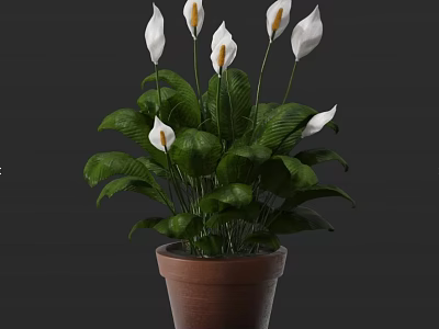 Potted Plant With White Flowers And Lush Green Leaves In Brown Terracotta Pot 3d model