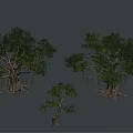 Green Arborescent Trees with Lush Foliage Thick Trunks and Various Sizes