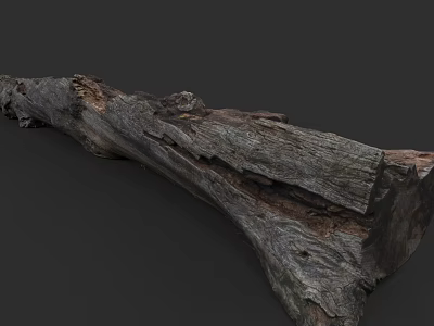 Natural Arbor Trunk Featuring Rough Wood Texture And Weathered Surface Details 3d model