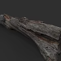 Natural Arbor Trunk Featuring Rough Wood Texture And Weathered Surface Details 3d model