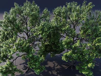 Realistic 3D Rendered Arbor With Lush Green Foliage And Strong Trunk 3d model