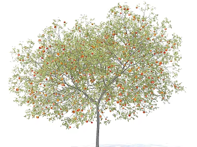 Tall Healthy Arbor With Lush Green Leaves And Abundant Orange Fruits 3d model