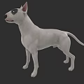 White Bull Terrier Dog Standing In 3D Model With Dark Background 3d model