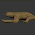 Game Or Movie Character Sloth 3D Model With Brown Fur Extended Claws In Gray Background