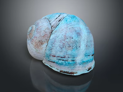 Marine Snail Seashell With Blue Glossy Surface And Natural Spiral Texture On Black Background 3d model
