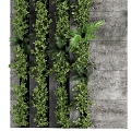 Modern Plant Wall Wall Vertical Decorative Garden fitowall 3d model