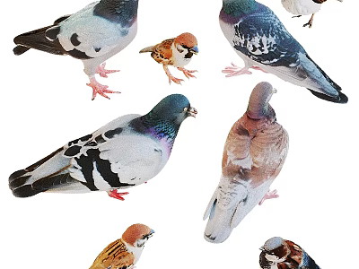 Various Reptile Species With Colorful Skin And Distinctive Physical Traits 3d model