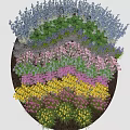 Vibrant Mixed Garden Flowers With Yellow Pink Purple Blue Blooms And Green Foliage