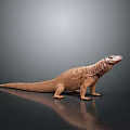 Realistic Komodo Dragon Standing On Reflective Surface Gray Background Detailed Skin Texture 3D Render 3d model