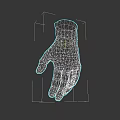 Realistic Human Hand Model With Detailed Skin Texture And Natural Fingers