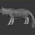 Gray Long Haired Cat With White Paws And Pink Nose Standing On Black Reflective Background