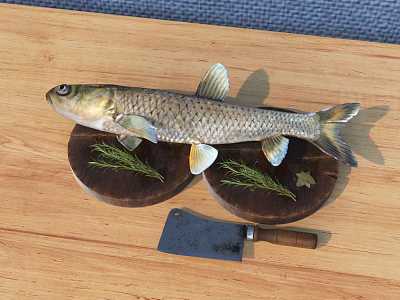 Fish 3D Model 3d model