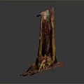 Natural Tree Stump Plant Decoration with Exposed Roots and Textured Surface for Indoor
