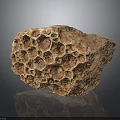 Honey Bee Hive Structure With Natural Hexagonal Cells And Intricate Patterns Close Up 3d model