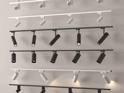Track Spotlights and Downlights Installed on White and Black Tracks with Adjustable Angles 3d model