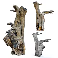 Natural Garden Ornaments Featuring Driftwood And Tree Stumps For Rustic Design