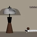 Cattelan Modern Table Lamp With Wooden Base Golden Pole Transparent Lampshade And Decorative Books