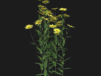 Vibrant Yellow Flowers with Green Stems and Lush Leaves in Garden 3d model
