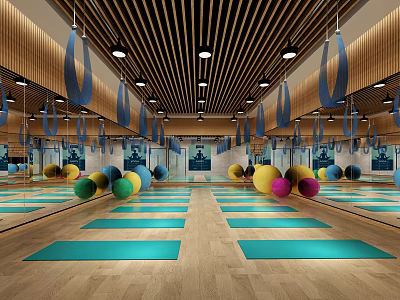Modern Fitness Training Studio With Blue Yoga Mats Colorful Exercise Balls And Wooden Ceiling 3d model